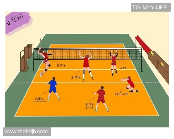 西安排球队的团队协作与战术配合深度分析与探讨 西安排球队的团队协作与战术配合深度分析与探讨